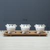 Cute Cartoon Succulent Flower Pot Simple Creative Personality Nordic Balcony Flower Pot Tabletop Plant