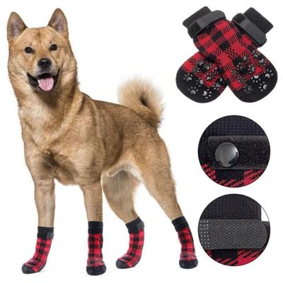 Bekleidung & Schuhe – Hundeschuhe