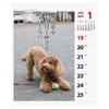 2025 Poodle Senryu (Weekly) Calendar No.028
