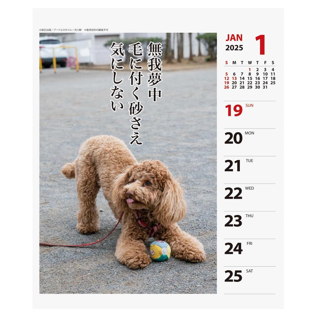 2025 Poodle Senryu (Weekly) Calendar No.028