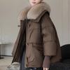 Big Hair Lapel Warm Cotton-padded Clothes Women's Short Winter Thickened Bread Clothes Jacket Korean Version Jacket