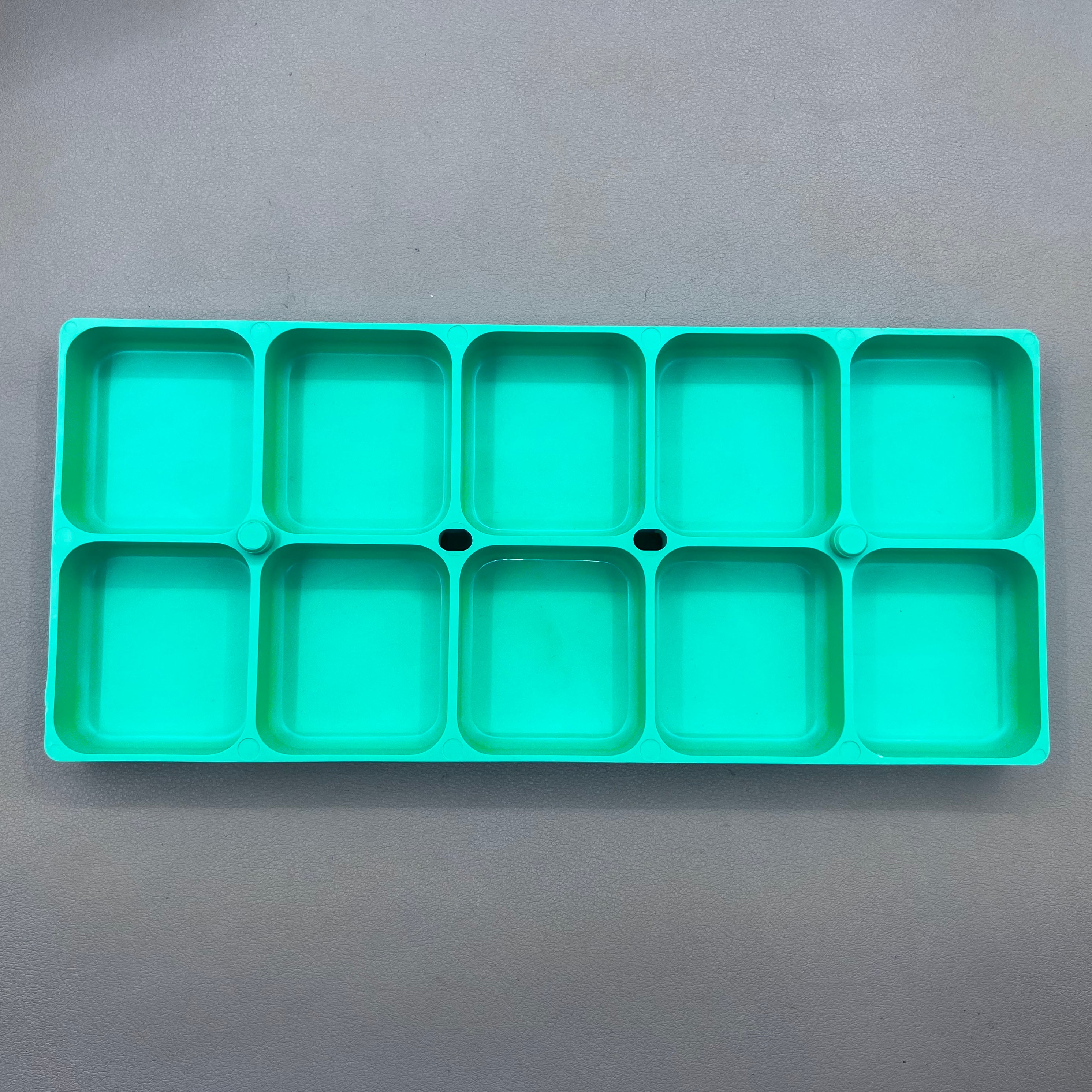 Swiss Horotec MSA17.530-V Green Plastic Container With 10 Compartments