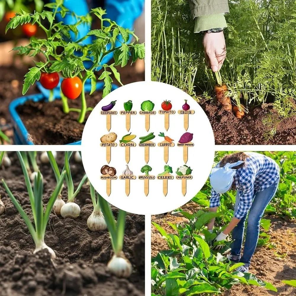 15PCS Reusable Plant Markers T-Type Vegetable Name Tag Insert Type Plant Sign  Garden Use