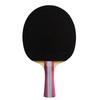 Double Fish 1-Star Beginner Table Tennis Racket