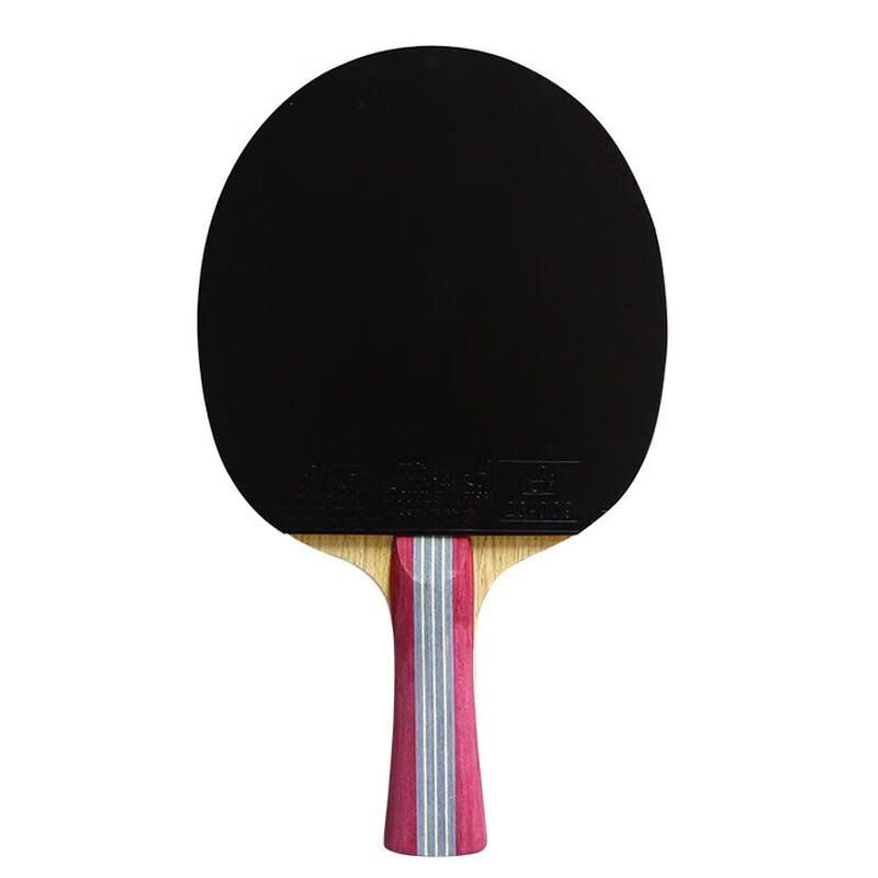 Double Fish 1-Star Beginner Table Tennis Racket