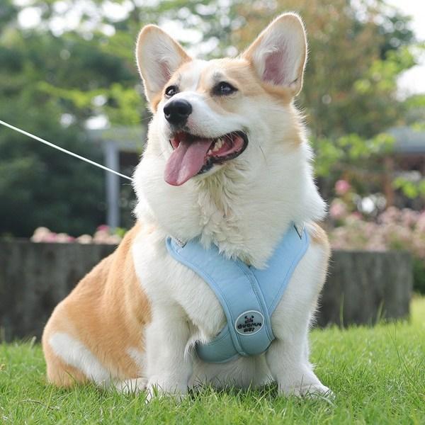 The Ompet X type dog chest strap harness leash set, Sky