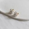 JJ20 Pearl Point Wedding Earrings_JJ20 Pearl Point Wedding Earrings