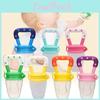 Safe Food Grade Silicone Baby Fruit Vegetable Pacifier Teething Feeder For Toddlers