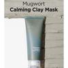 Isntree - Mugwort Calming Clay Mask Jumbo