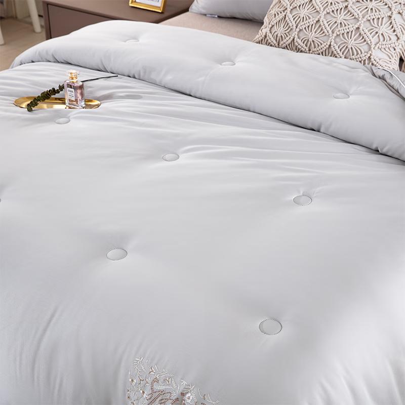 Dongfang Shiguang Super Soft Velvet Spring/Autumn Quilt