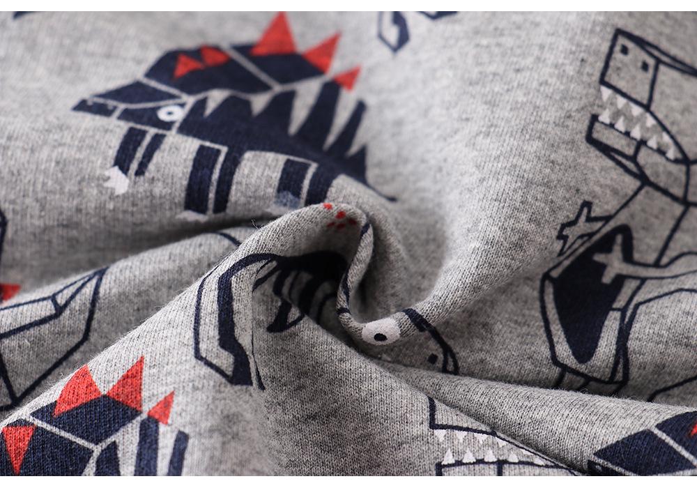 European-Style Children's Long Sleeve Cotton Hoodie for Autumn/Winter