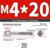 304 Stainless Steel Lead Seal Galvanized Meter Screw with Cross Hole