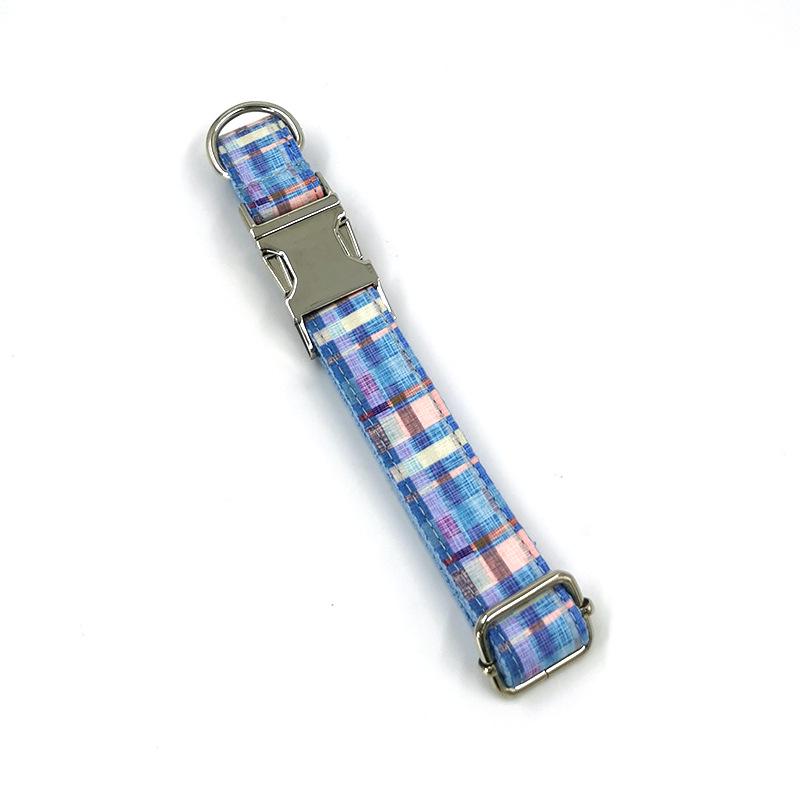 Engraved Metal Buckle Dog Leash and Collar for Small to Medium Dogs
