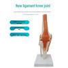 Human Skeleton Model with 6 Major Joints: Knee, Foot, Hand, Shoulder, Elbow, and Hip