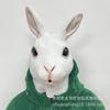 Maschera da Coniglio Bianco Grande Carina di Halloween Copricapo Animale in Lattice cosplay Peter Rabbit Copricapo per Festa