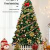 Qiuqiao Dense Deluxe Lighted Christmas Tree Set