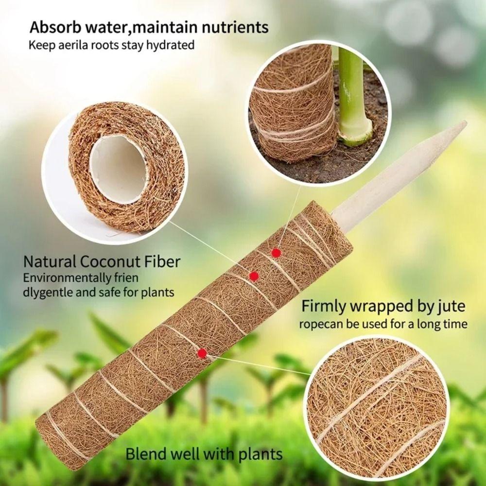 Fashion Detachable Moss Pole 32/42/52cm Gardening Tools Plant Climbing Pole To Grow Upwards Coconut Palm Stick Indoor