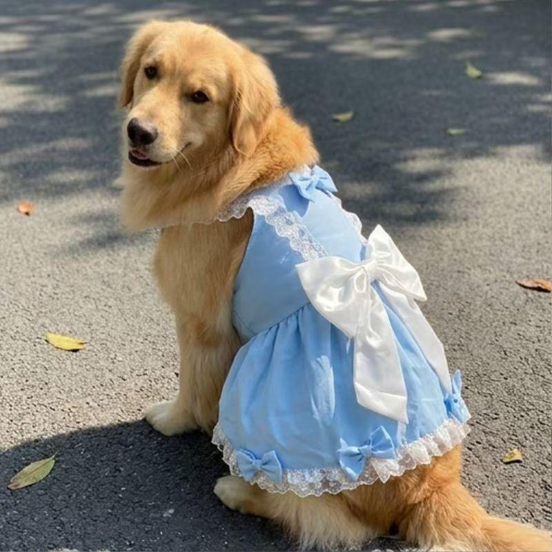 Summer Dog Dress Small Medium Big Dog Clothes Poodle Schnauzer Samoyed Border Collie Husky Labrador Golden Retriever Clothing
