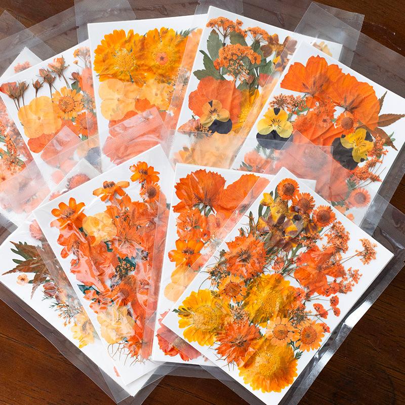 Halloween Theme Pressed Flower Kit for Resin Art Natural Real Pressed Orange Flower Leaves for DIY Epoxy Jewelry Bookmark