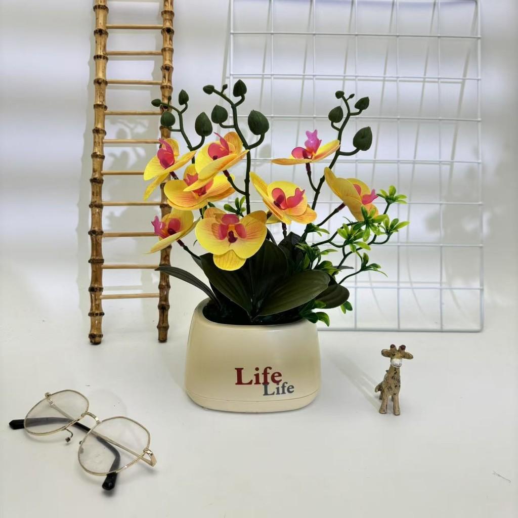 Butterfly Orchid Artificial Plant For Photography Decor And Home Styling