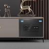 Tiger Brand BoRui 25cm Electronic Password Safe