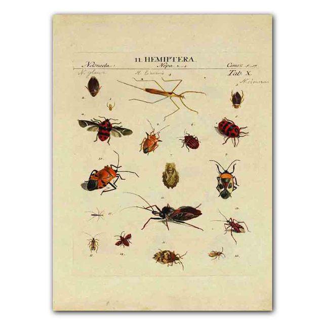 Nordic RETRO Art Canvas Painting Butterfly Insect Evolution Poster Living Room Corridor Wall Painting Home Decoration Mural No Frame