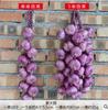 Frutta e Verdura Decorative Finte Artificiali Cipolla Aglio Schiuma Realistica Mais Peperone Rosso Decorazione Cucina Stile Cinese
