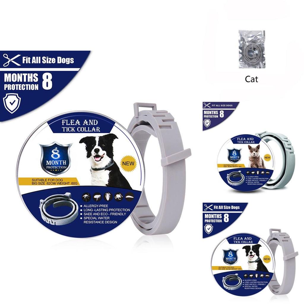 Keep Your Pets Safe With A High-quality Anti-flea Dog Collar