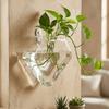 Irregular Shape Hydroponic Vase Wall Mounted Plant Container Glass Vase  Living Room