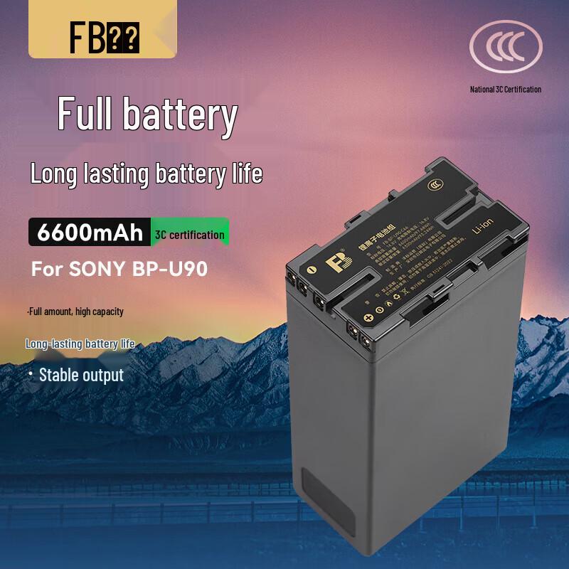 Fengbiao BP-U90 6600mAh Camcorder Battery CN Plug (adapter Included)