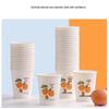 Thickened Disposable Paper Cups
