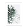 Scandinavian Nature Plant Palm Leaf Shell Beach Canvas Painting Poster Seaside Landscape Print Wall Art Picture Home Decoration