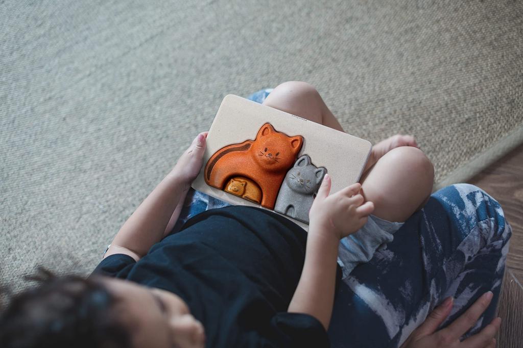 PLANTOYS Cat Puzzle 4637