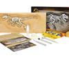 Jogos educativos e científicos – Kits de ciência para crianças