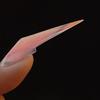 70PCS Nail Extension Dual System 3D Dragon Claw Forms Full Cover Acrylic Gel Builder Flexible Tips for Women Beauty Salon
