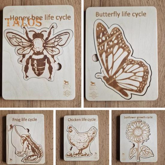 Holzpuzzle Lebenszyklus, mehrschichtiges Tier-Insekten-Pflanzenwachstums-Puzzle, Vorschul-Lernpuzzle, Spielzeug für Kinder, Jungen und Mädchen