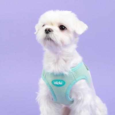 Puppy Olchi Sicherheitsgeschirr für Hunde, zum Spazierengehen, Umarmungsgeschirr, Sicherheitsleine für den Hals, Ausgehen, Brustleine, Minze