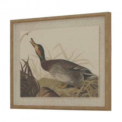 Flora & Fauna Collection Duck Linen Framed Art Print