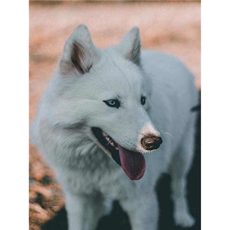 5D DIY Diamant Malerei Hund voller Runde Diamant Stickerei Tier Mosaik Strass Kit Dekor für Zuhause