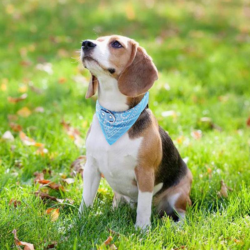 Haustier Hundehalsbänder mit Druckschal Niedliches verstellbares kleines Hundebandana-Halsband Halstuch Welpen Haustier Sabbertuch Katzenzubehör