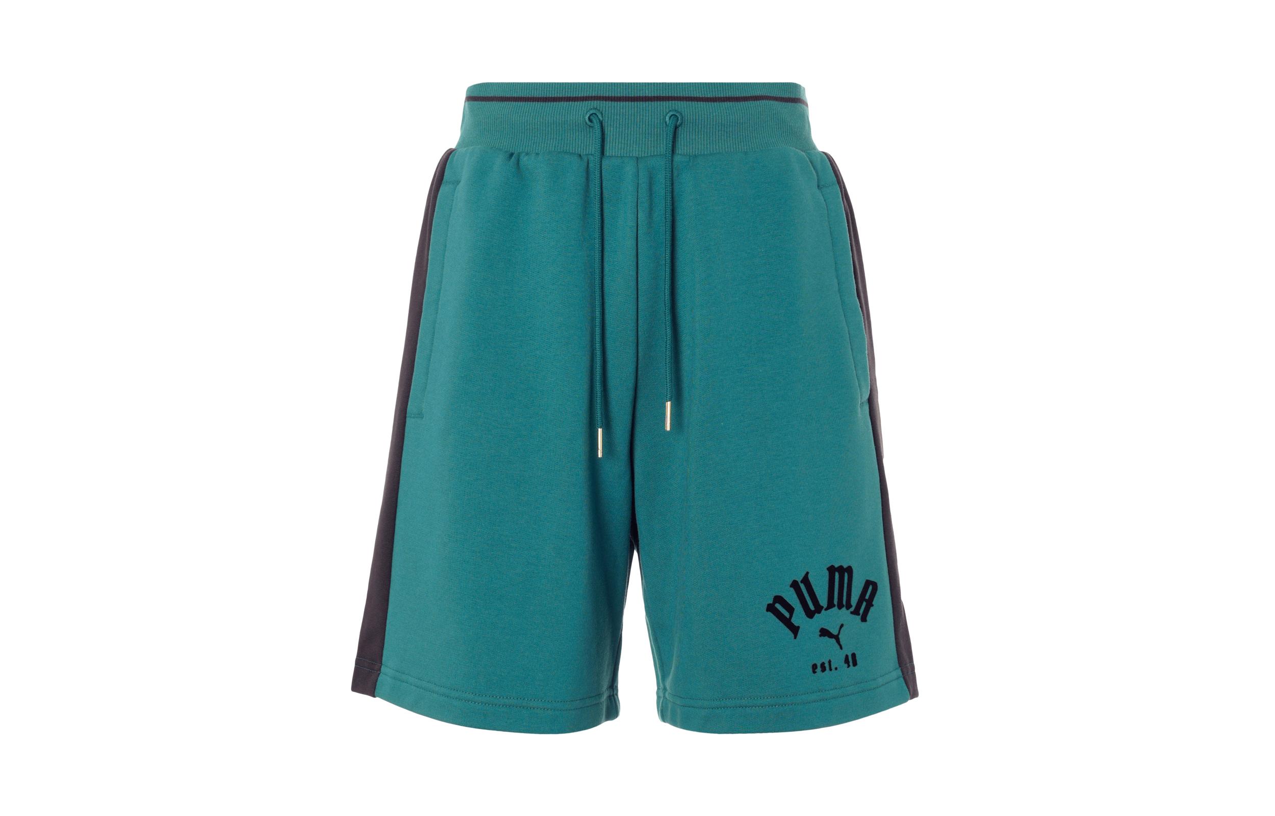 PUMA Casual Shorts Men s Green Moderate 629086-22 L