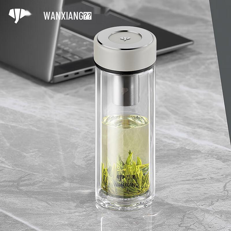 Portable Double-Wall Glass Tea Infuser Bottle