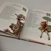 [USED] Foreign Books A Flower Fairies Alphabet Fairy
