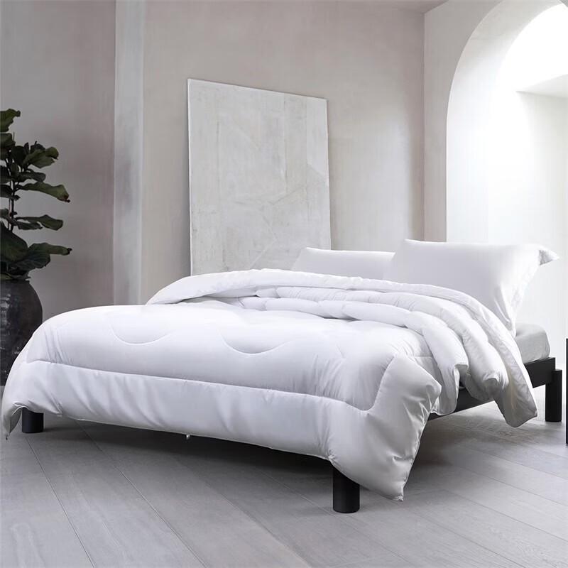 Mercury Home Textiles Yilan Negative Ion Antibacterial Fiber Quilt