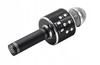 Głośnik Mobilny Z Mikrofonem Manta Mic12-Bk Czarny