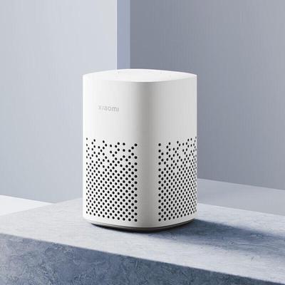 Xiaomi Xiaoai Speaker Play CN Plug (adapter Included) (CN Version)