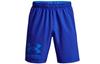 Woven Collection Sports Shorts Men's Blue Moderate 1362286-486
