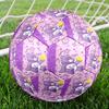 Care Bears Print Size 5 Soccer Ball, Standard Match Football for Sports Game and Team Practice, Ideal Gift for Soccer Fans