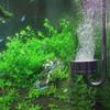 304 Stainless Steel Fish Tank CO2 Diffuser U-shaped Aquarium Oxygen Diffuser  Aquatic Plant Growth