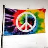 Peace Flag 90x150cm Durable Polyester Outdoor/Indoor Decor for Parties, Gardens - World Peace Day Festival Decoration